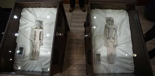 全球首个承认“外星生物”存在的国家！墨西哥国会举行听证会 公布了“非人类”生物 疑似 外星人 的遗骸！