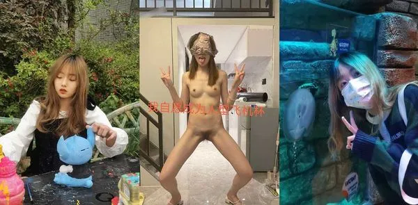 沈阳师范大学 刘鑫 外表可爱内心淫荡的重度反差母狗 嫩穴后庭双向开发 各种玩具自慰淫叫声不断！